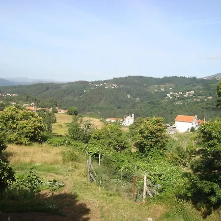 Semente De Futuro * Arouca