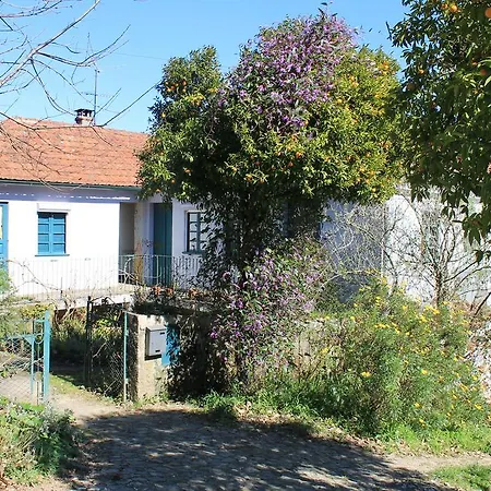 Vendégház Semente De Futuro Arouca